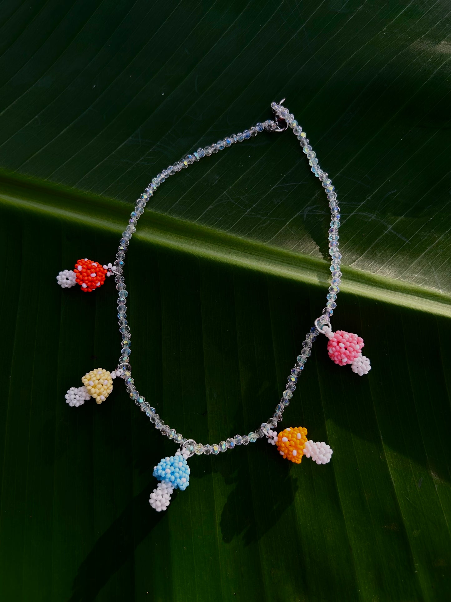 Collares hongo Natura