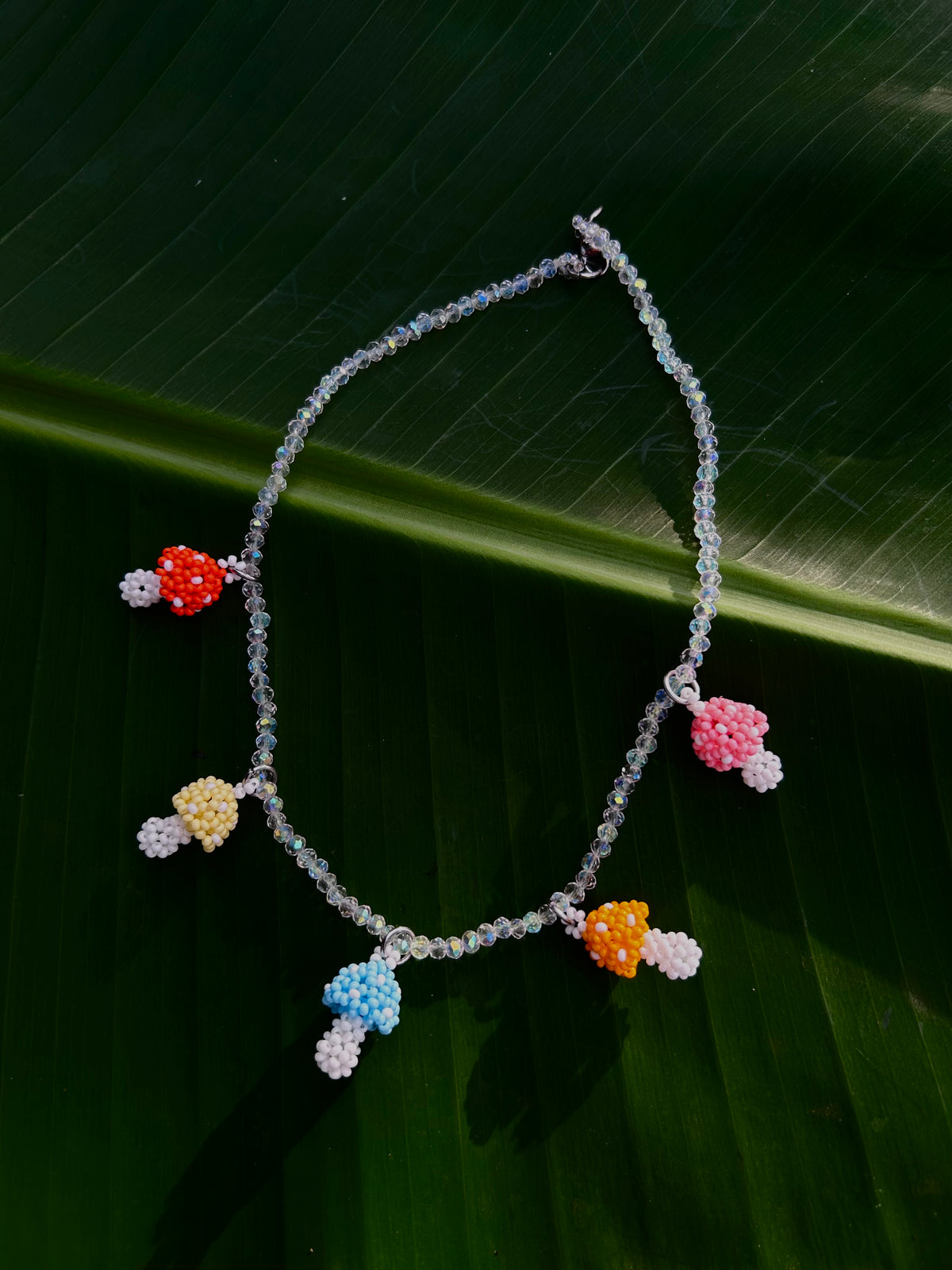 Collares hongo Natura