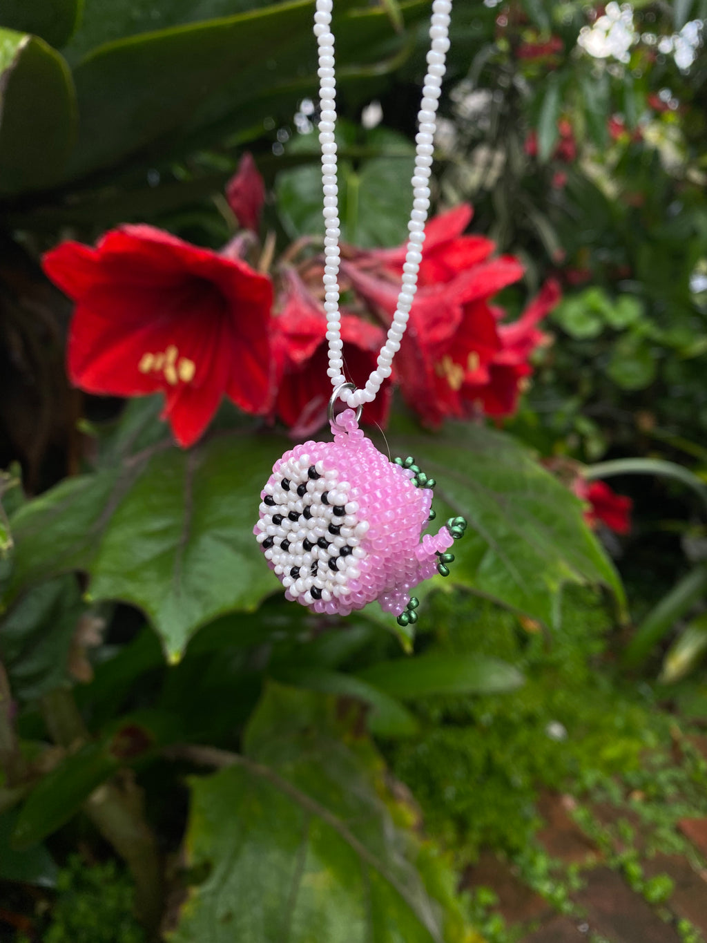 Collar pitaya
