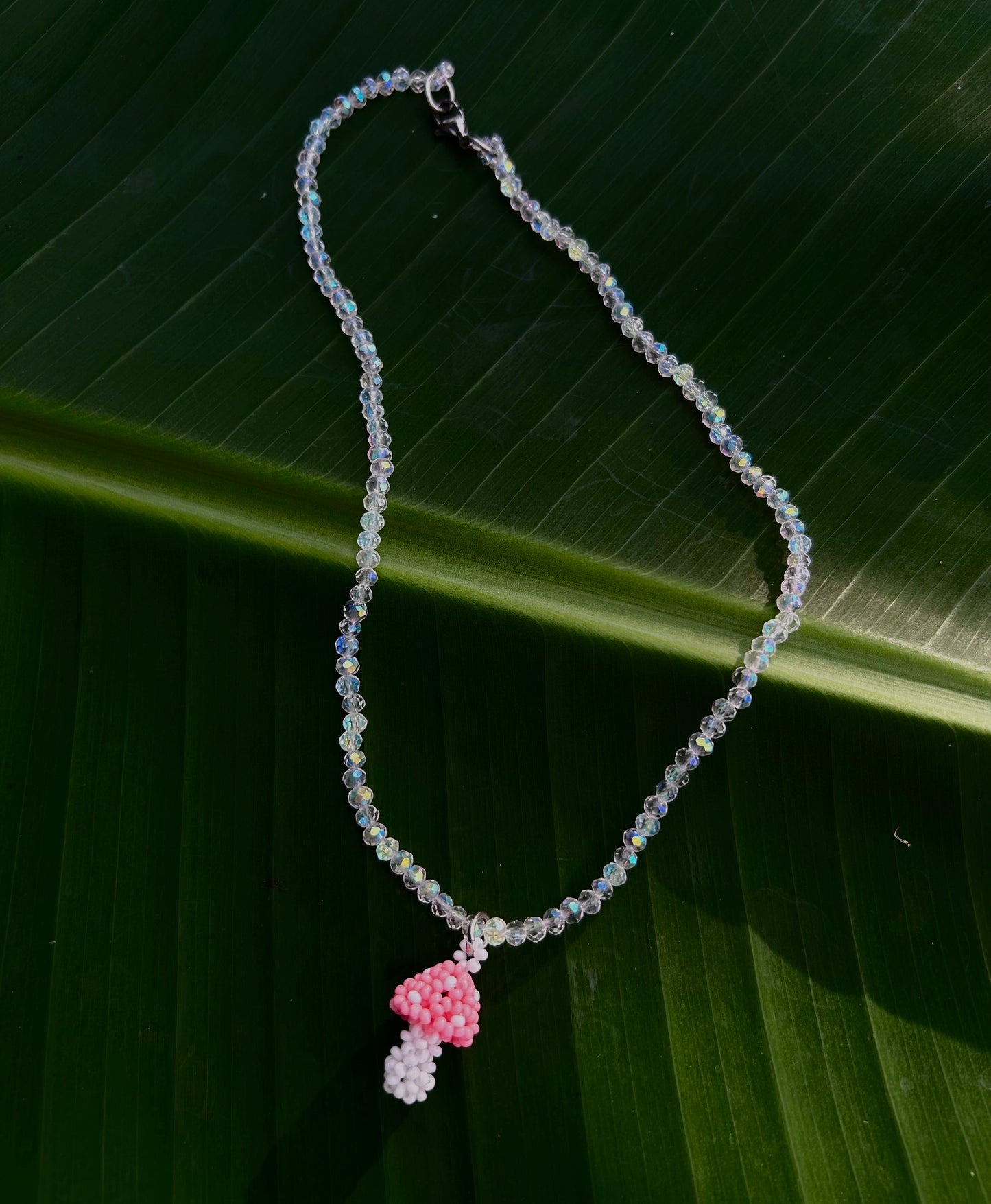 Collares hongo Natura