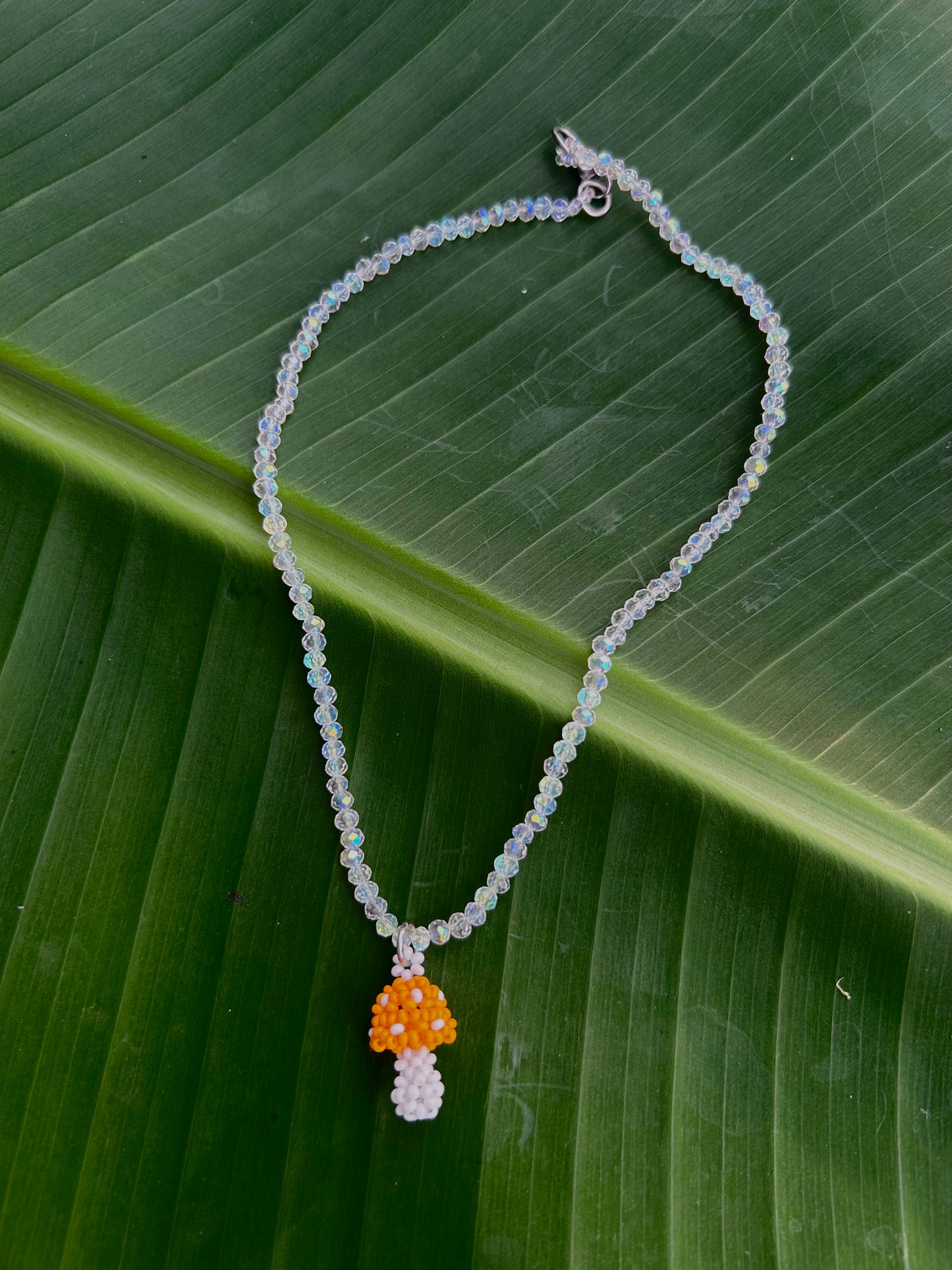Collares hongo Natura