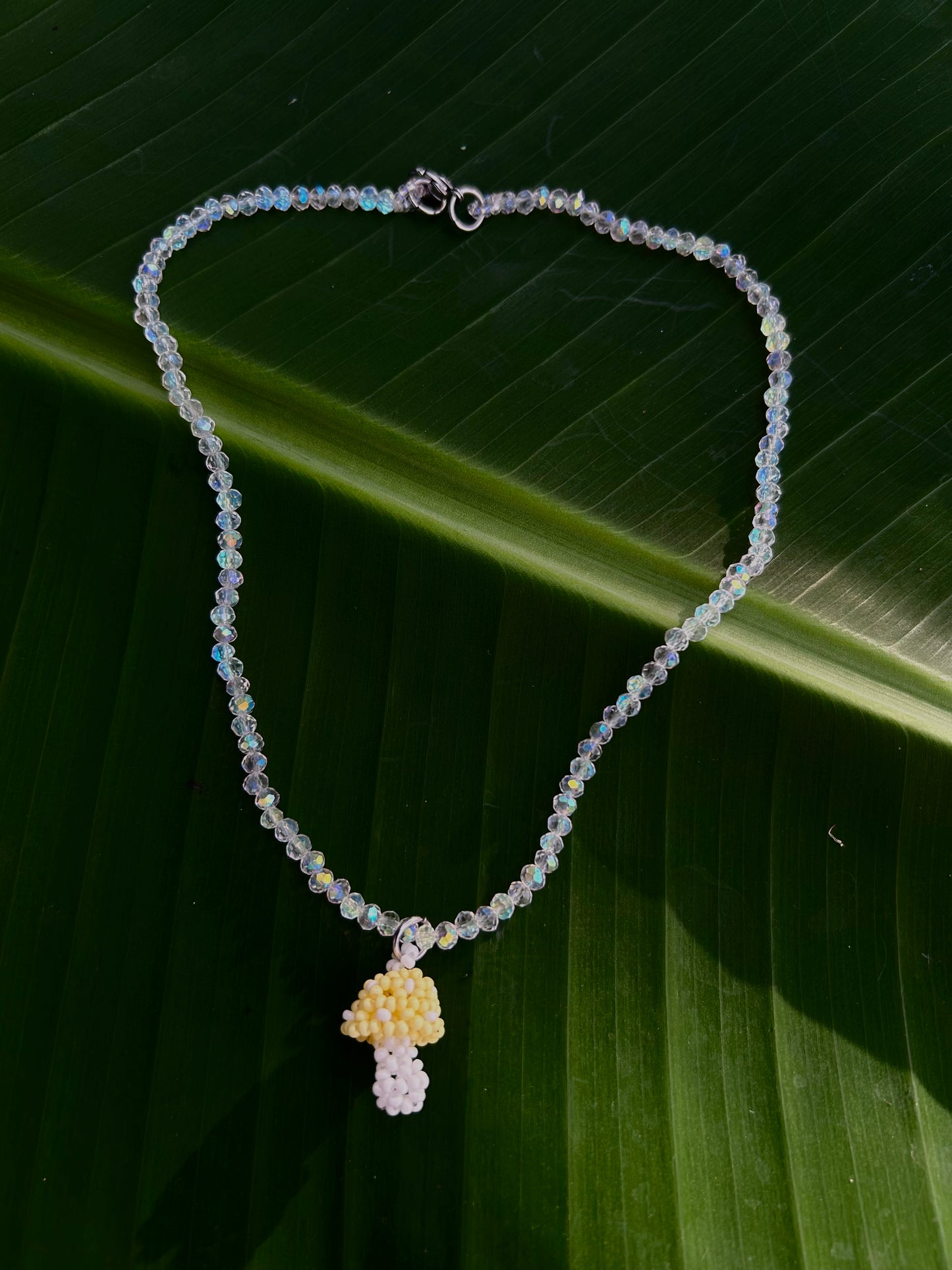 Collares hongo Natura