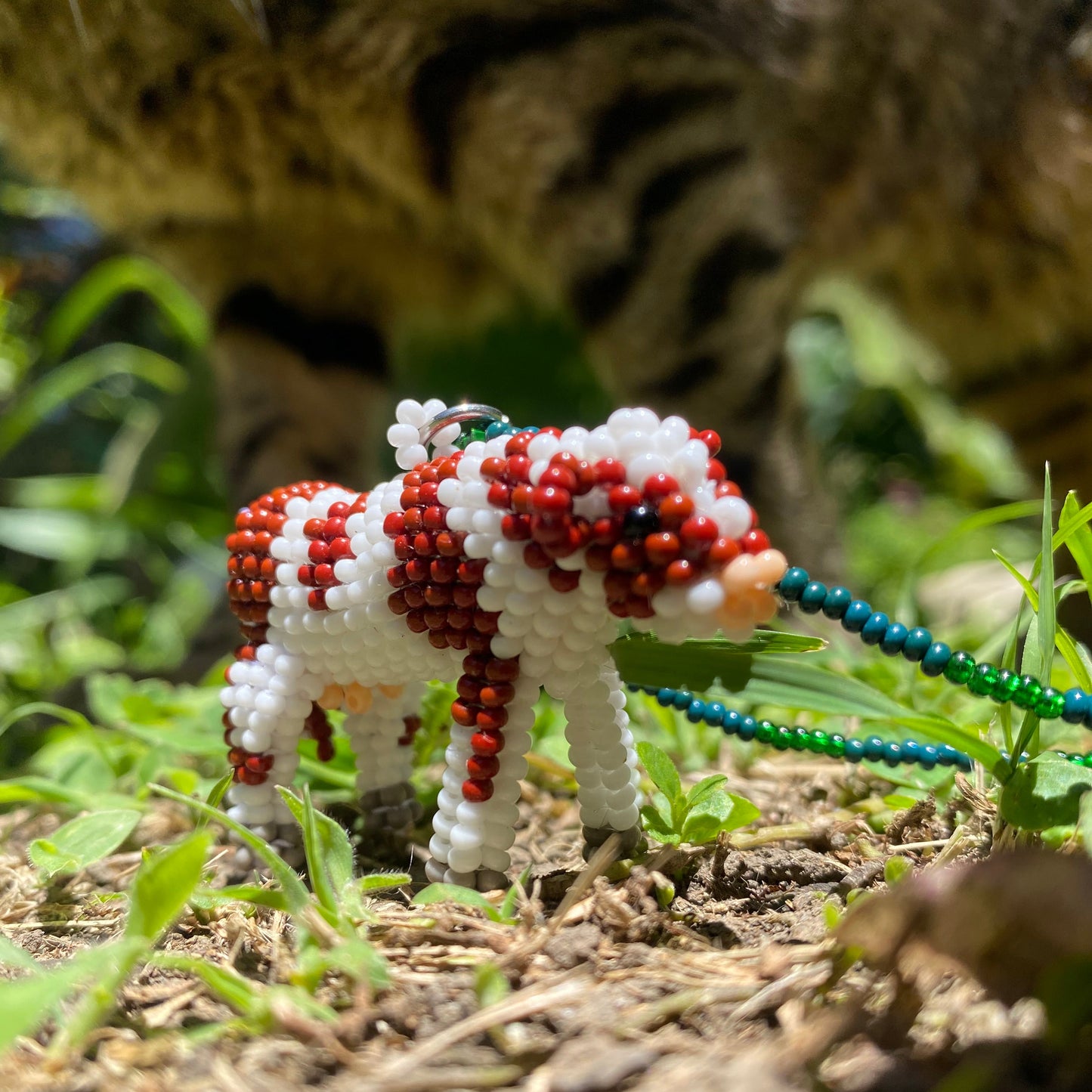 Collar vaca