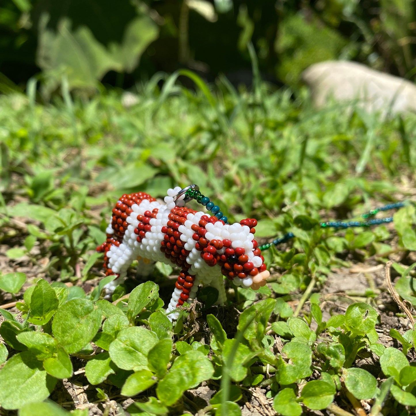 Collar vaca