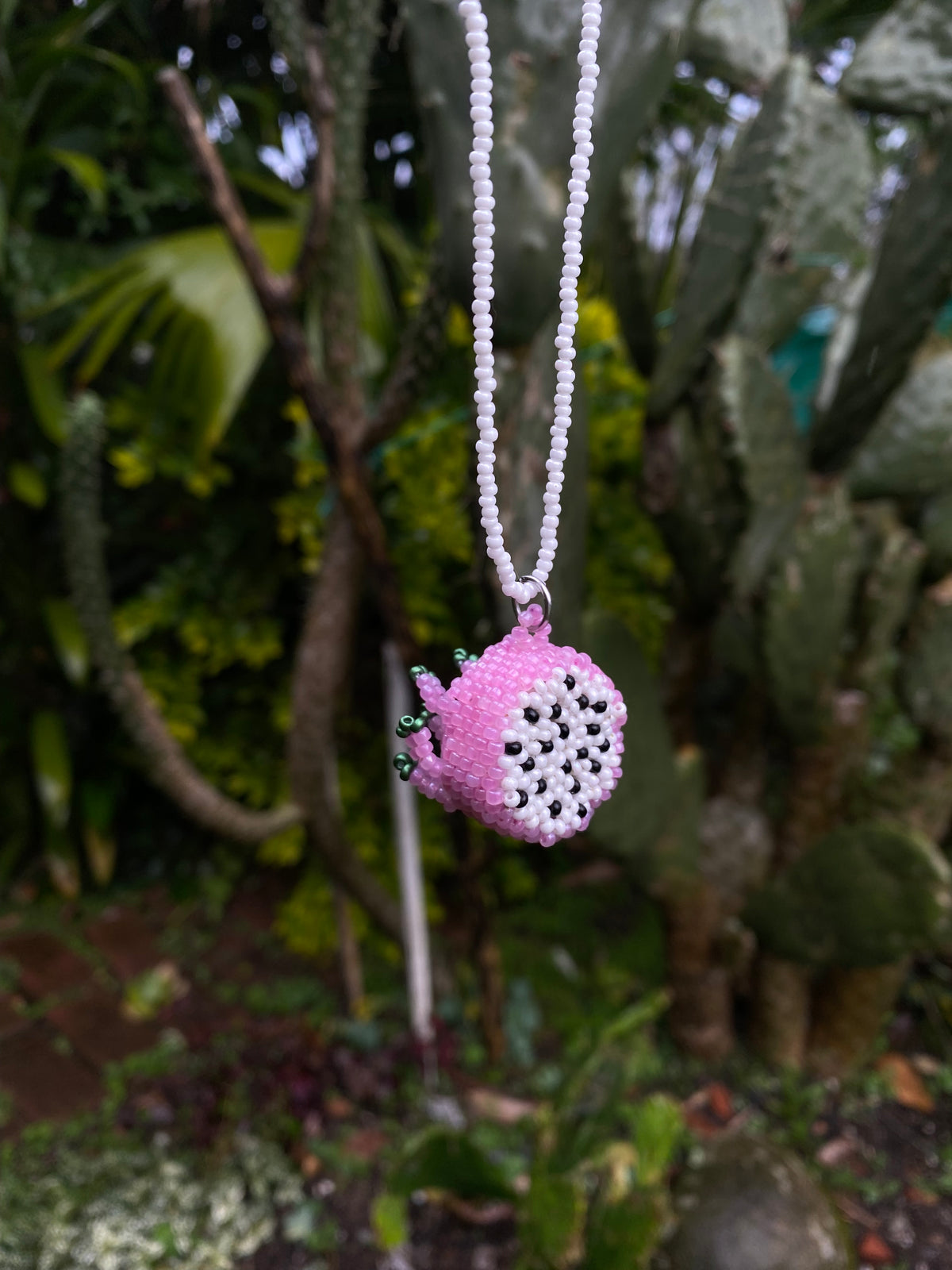 Collar pitaya