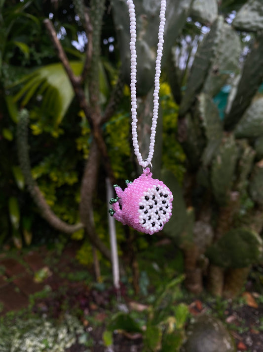 Collar pitaya