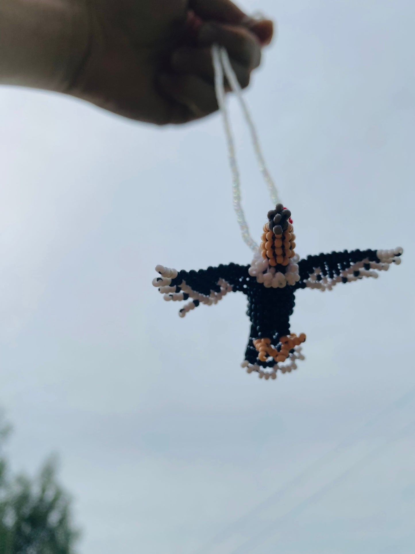Collar condor