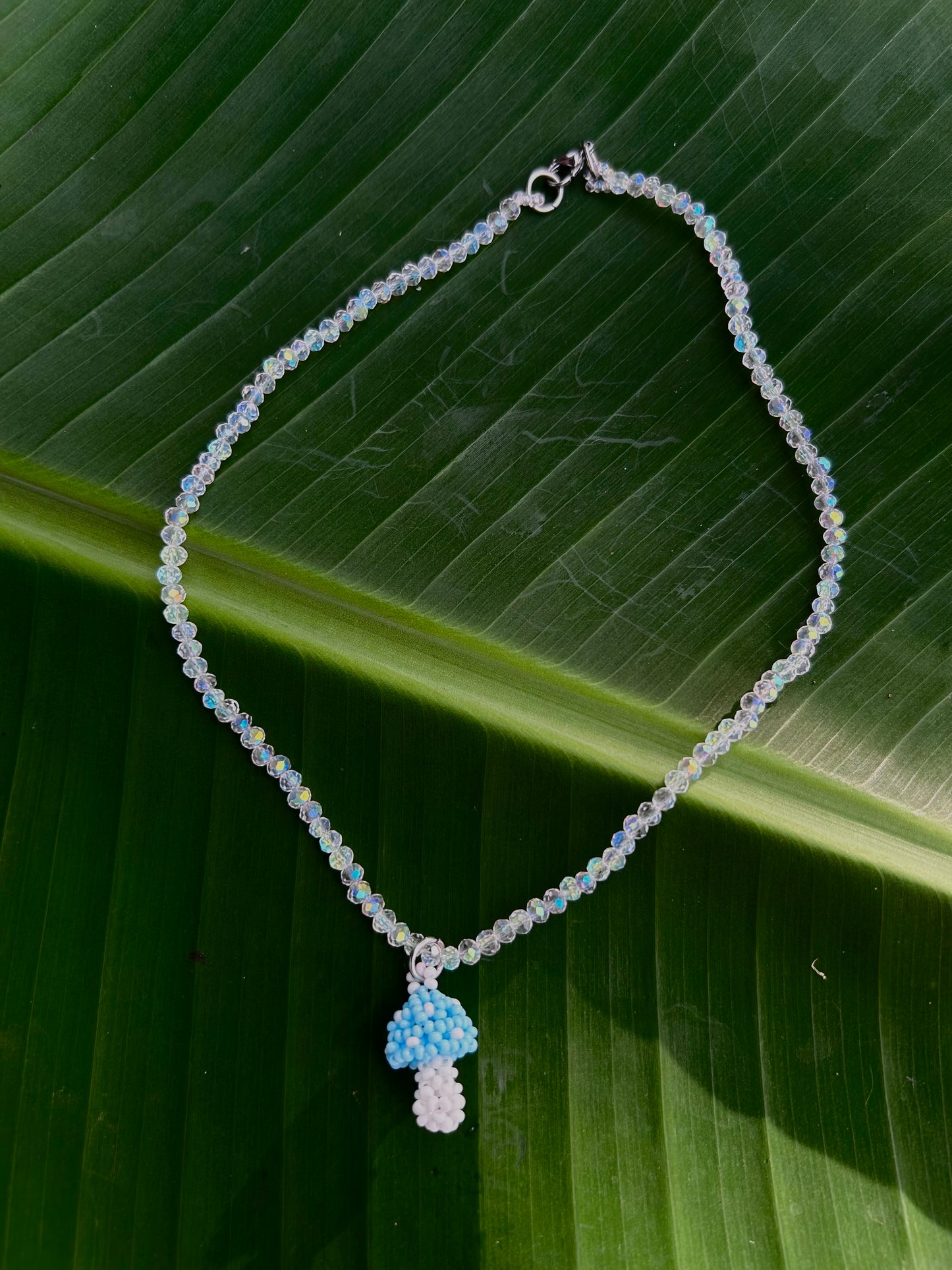 Collares hongo Natura