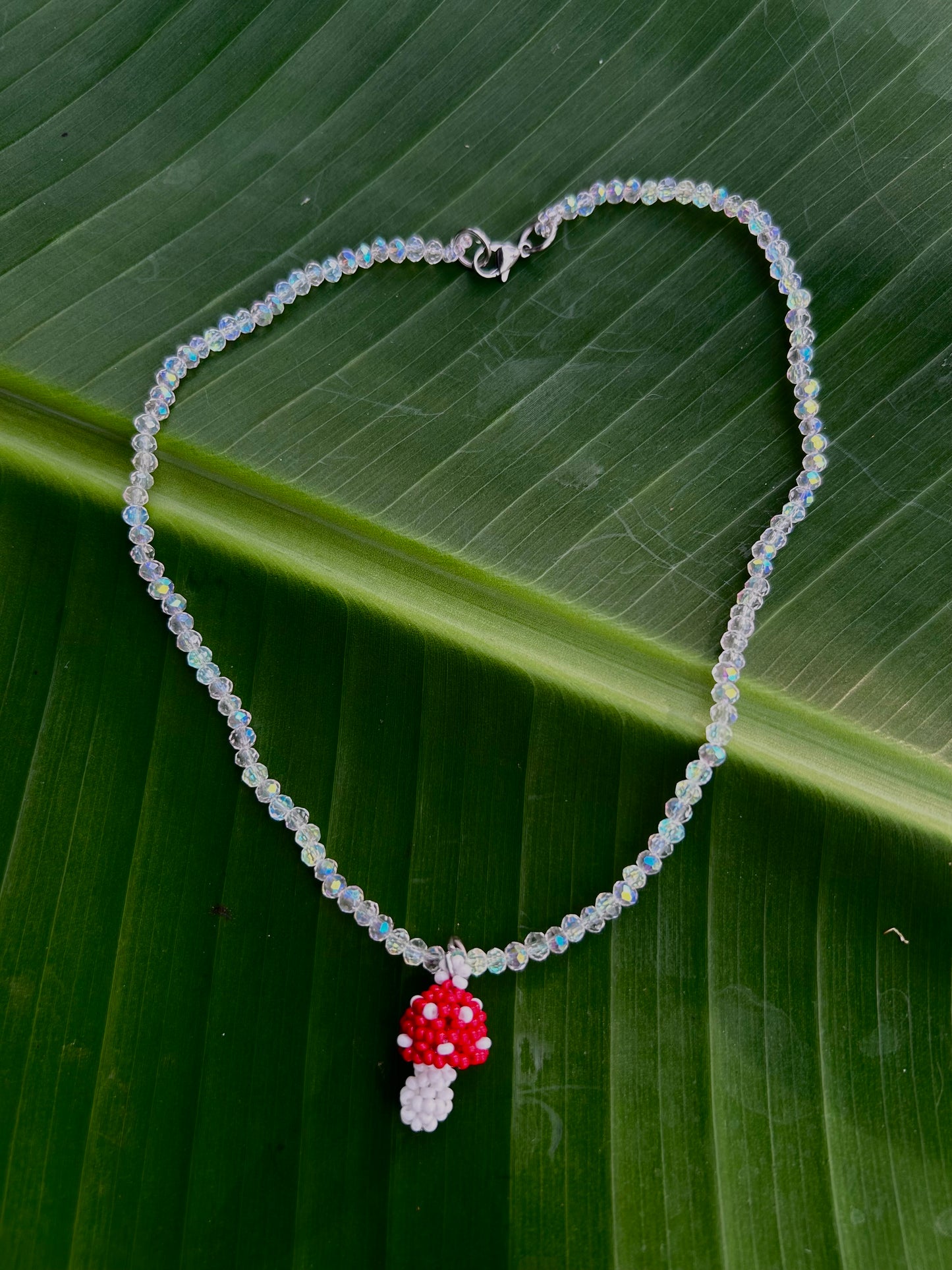 Collares hongo Natura