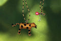 Collar jaguar