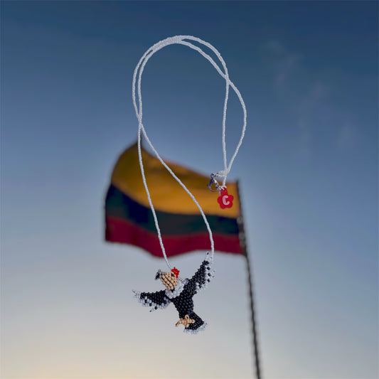 Collar condor