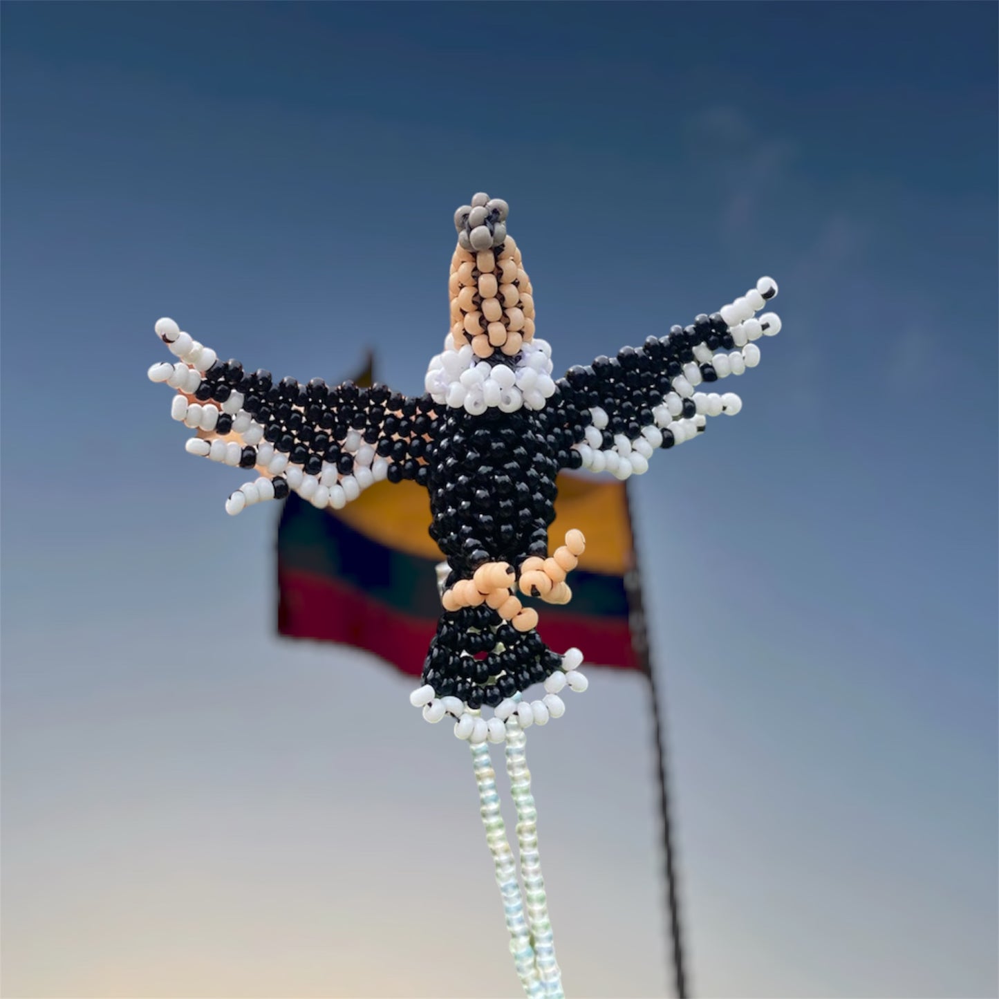 Collar condor