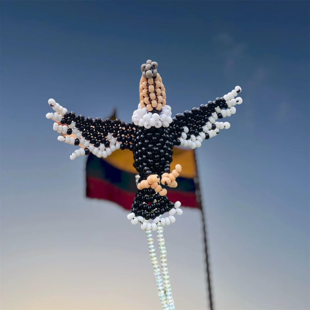 Collar condor