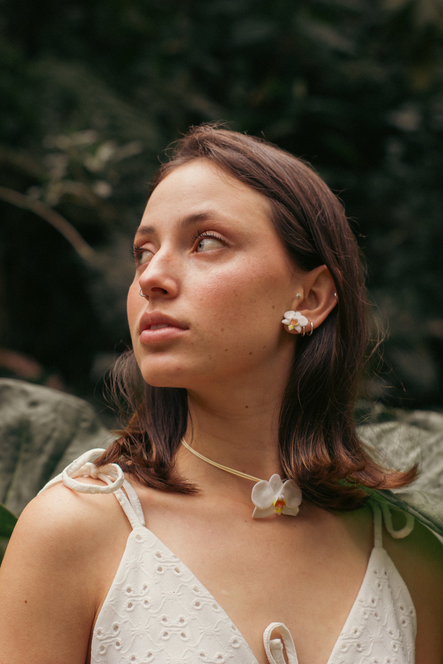 Topitos Orquídea Blanca