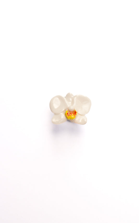 Anillo Orquídea Blanca